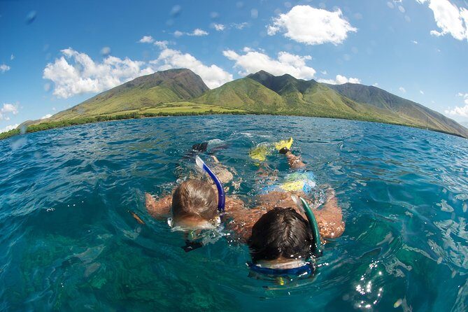 Hawaiian Outrigger Canoe Cultural and Turtle Tour - Practical tips so you get the best version of this tour