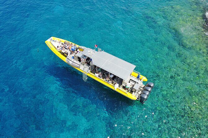 HIGH QUALITY Whale Watch Adventure Aboard Luxury Super Raft - When You’ll Love This Tour (And When You Might Not)