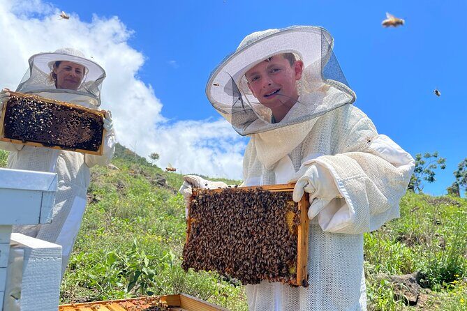 Honey Bee Adventure at the Maui Honey Bee Sanctuary - Who This Tour Suits Best (And Who Might Feel Off)