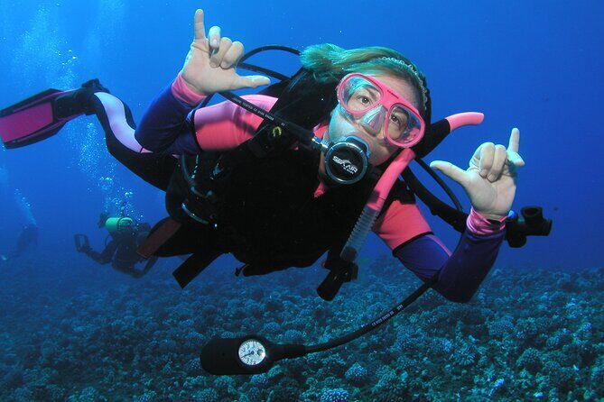 Intro/Refresher Dive Swim Ability Required - What This Is Really Like in Maui (And Who It Fits)
