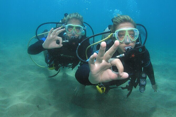 Intro/Refresher Dive Swim Ability Required - The Big Requirements: Strong Swimmer, Age 12+, and Health Checks