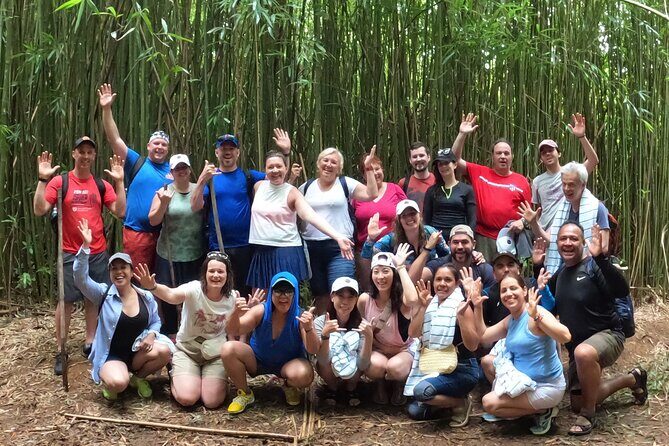 Jungle Waterfall Adventure on Maui - Who this private Jungle Waterfall Adventure suits best