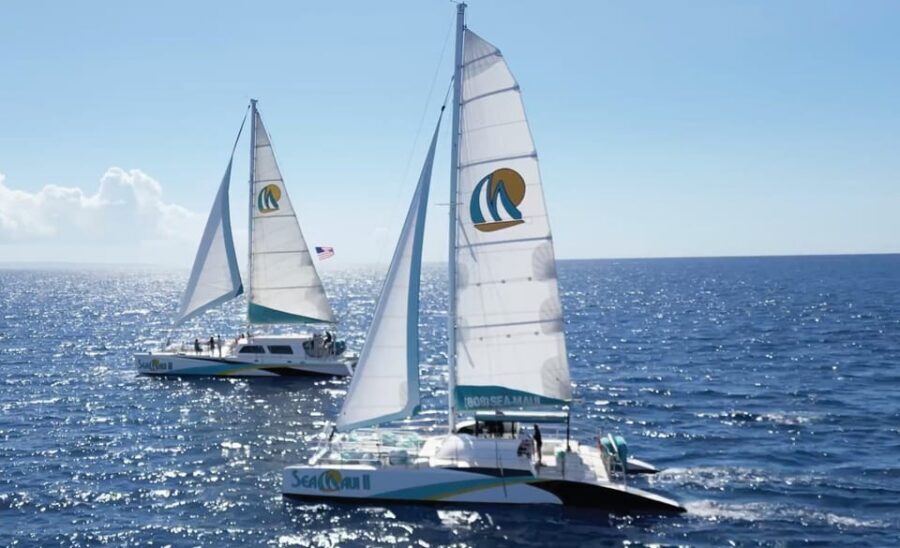 Ka'anapali Beach: Coral Reef Snorkel and Turtle Spotting - The best part of Maui is staying efficient