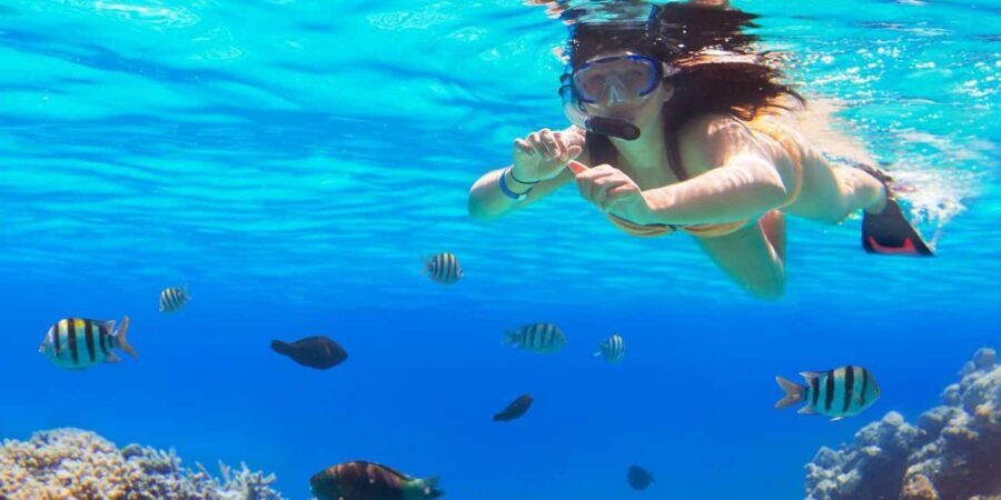 Ka'anapali Beach: Coral Reef Snorkel and Turtle Spotting - The turtles: why this reef style is so satisfying