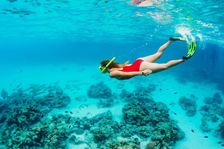 Ka'anapali Beach: Coral Reef Snorkel and Turtle Spotting - Price and value: why $134 can make sense here