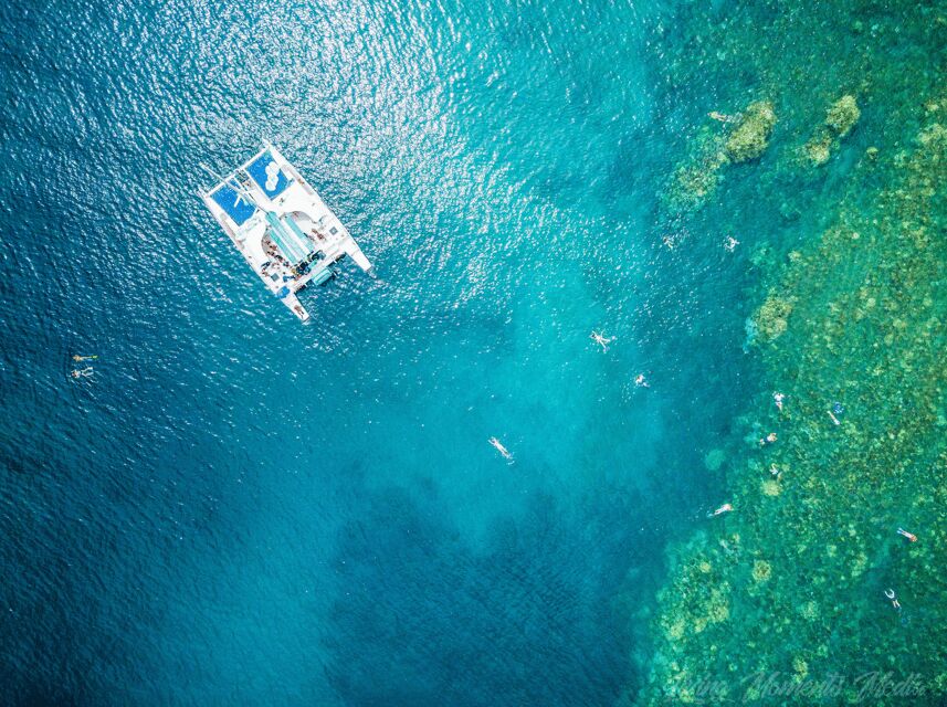 Ka'anapali Beach: Coral Reef Snorkel and Turtle Spotting - Weather can change the plan, and that’s part of snorkeling