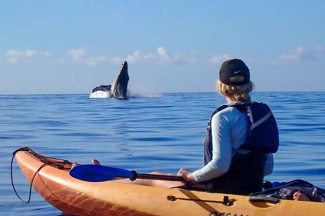Kayak and Whale Watching Tour - What Happens on the Water: Paddling Close to Maui Humpbacks