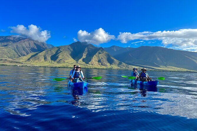 Kayak & Turtle Town Snorkel(Turtles Guaranteed) + Whale Watching - Key Highlights You’ll Care About