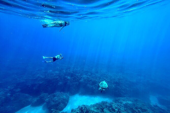 Kayak & Turtle Town Snorkel(Turtles Guaranteed) + Whale Watching - Olowalu Launch: straight into the good water