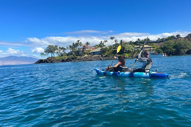 Kayak & Turtle Town Snorkel(Turtles Guaranteed) + Whale Watching - Photos and videos: optional, but a smart trade