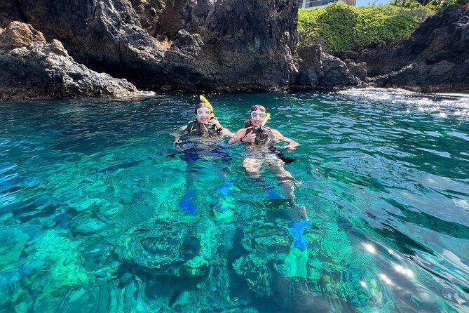 Kayak & Turtle Town Snorkel(Turtles Guaranteed) + Whale Watching - Timing, fitness, and what to pack