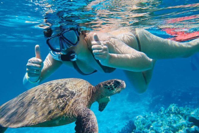 Makena Turtle Town Eco Adventure in Maui - Kayak paddle toward Turtle Town: the part you’ll remember most