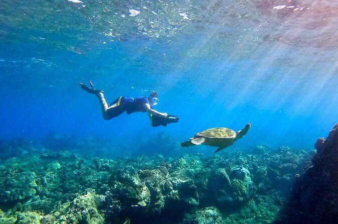 Mala Wharf Lahaina Jet Scooter Snorkeling Small Group with GoPro - What “fully guided” feels like during the water time