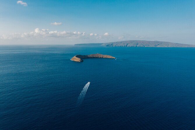 Maui: 2-Hour Molokini Snorkel Trip - 7AM calmer water vs 9:30 warmer air: picking your timeslot