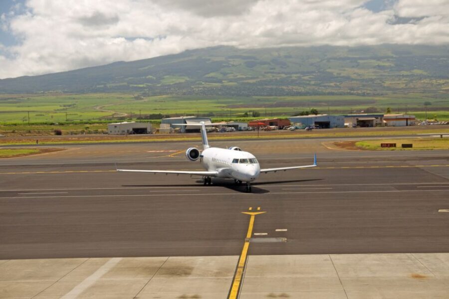 Maui Airport Custom Lei Greeting - Choose Your Lei - Price and Value: Why $51 Might Feel High (and When It’s Fair)