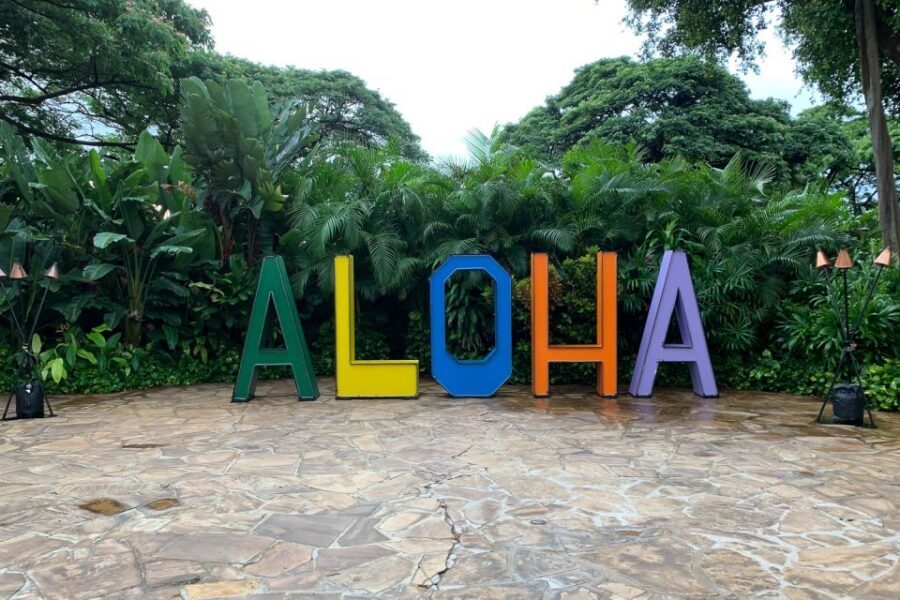 Maui Airport Custom Lei Greeting - Choose Your Lei - Choosing Your Lei: How the Detail Makes the Greeting Feel Personal