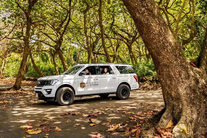 Maui by Storm: Epic Private Luxury Road to Hana Adventure Tour - The Hana Highway: 10 Hours of Scenery (Without the Self-Driving Stress)