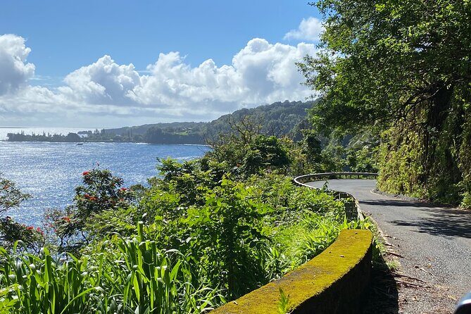 Maui by Storm: Epic Private Luxury Road to Hana Adventure Tour - Optional Maui Honey Bee Sanctuary: A Quick, Easy Detour