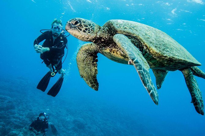 Maui Certified Shore Diving from Lahaina - Lahaina meet-up details: where to go (and where not to go)