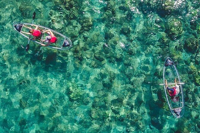 Maui Clear Kayak and Snorkel Tour: Swim with turtles (Makena) - Key things you’ll remember from Makena with Ohana Ocean Adventures