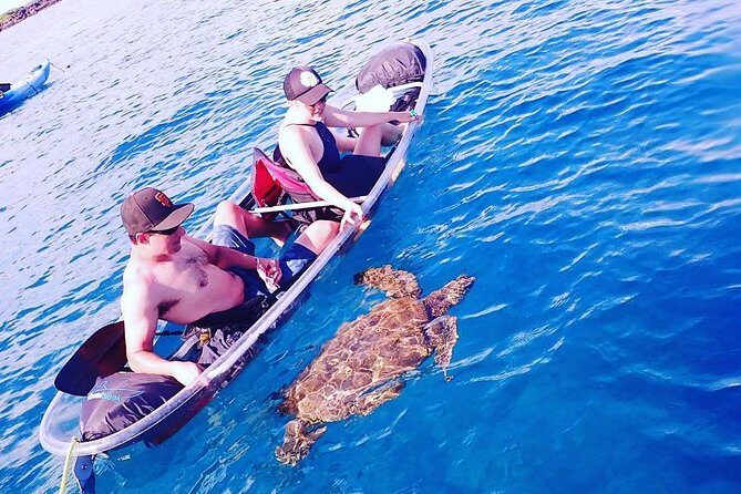 Maui Clear Kayak and Snorkel Tour: Swim with turtles (Makena) - Views from above water: Haleakala, Molokini, and west Maui mountains