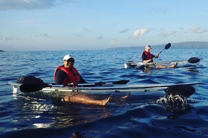 Maui Clear Kayak and Snorkel Tour: Swim with turtles (Makena) - Who runs this: Coast Guard veteran safety plus real-person humor