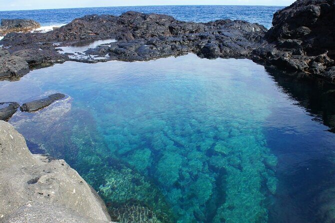 Maui Coast Slingshot Tour from Kihei - Start at Maui Ocean Center: a simple launch into the day