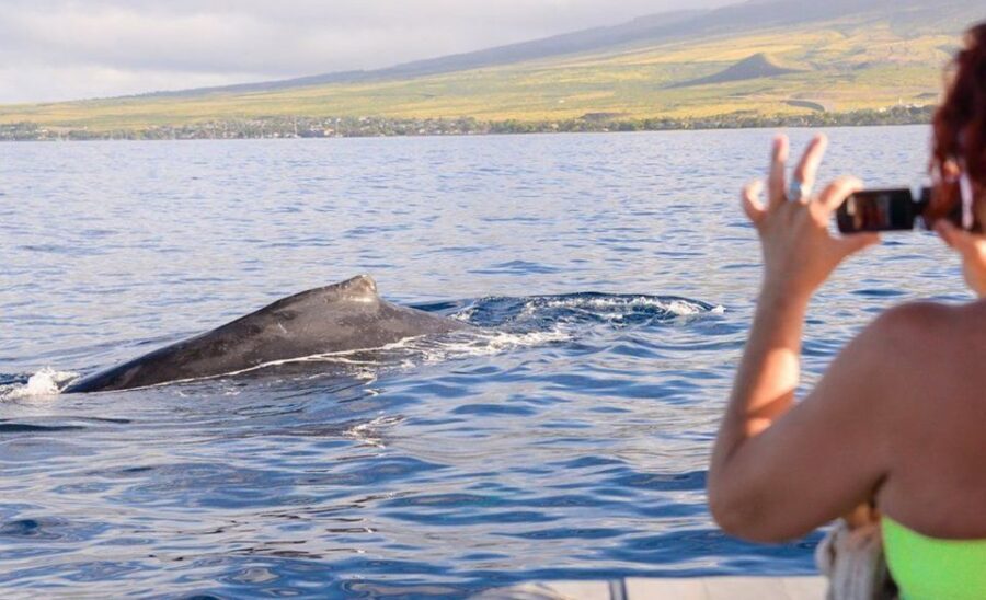 Maui: Guided Whale Watching Tour on Eco Raft - Photography and seating: how to get better shots in choppy seas