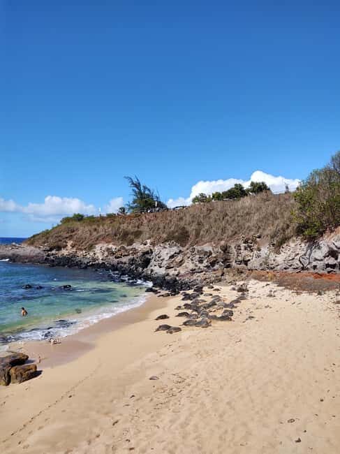 Maui: Halfway to Hana Black Sand Beach & Turtles Tour - Key things that make this Maui tour worth your time