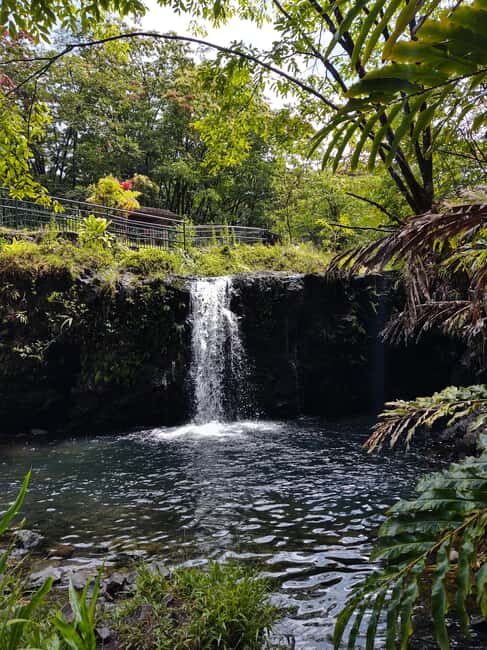 Maui: Halfway to Hana Black Sand Beach & Turtles Tour - Maui’s winding road, but timed to feel doable