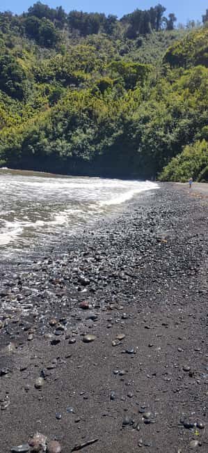 Maui: Halfway to Hana Black Sand Beach & Turtles Tour - Price and value: why $199 can make sense for this route