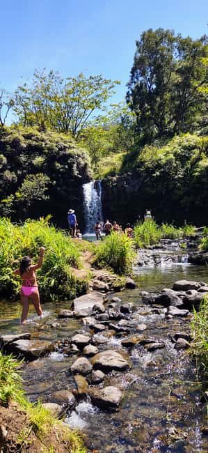 Maui: Halfway to Hana Black Sand Beach & Turtles Tour - Should you book the Maui Halfway to Hana Black Sand Beach & Turtles Tour?