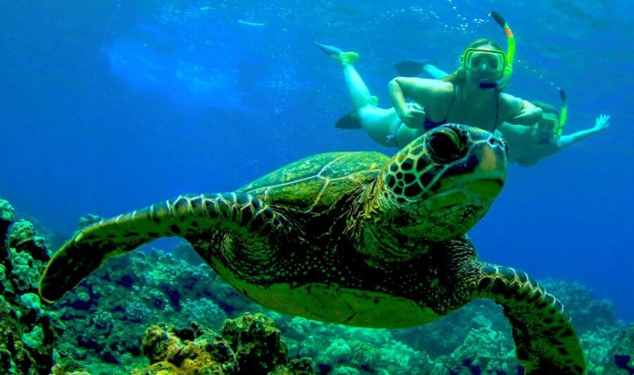 Maui: Kaanapali Beach 4-hour Snorkel w/ BBQ Lunch & Open Bar - The Four-Hour Schedule: What Happens From First Sip to Last Sail