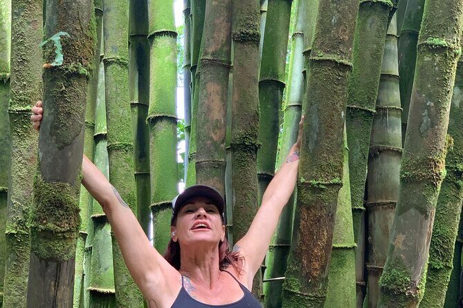 Maui Magical Waterfall and Jungle Tour: Road to Hana - Road to Hana, but only the best slice