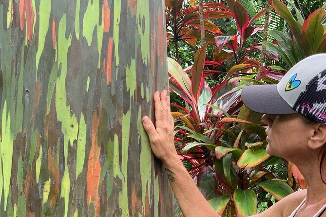 Maui Magical Waterfall and Jungle Tour: Road to Hana - Ke‘anae Point: banana bread, church photos, and the rainforest vibe