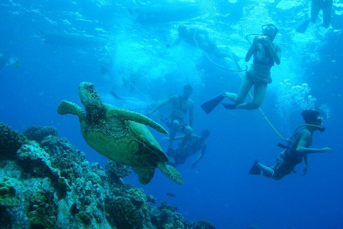 Maui: Molokini and Turtle Town Snorkeling aboard Pride of Maui - Price and Value: What You’re Really Paying For