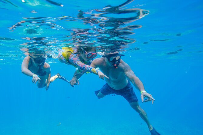 Maui: Molokini Crater and Turtle Town Snorkeling From Kihei - Boat ride comfort: small group, real safety, and the in-and-out routine