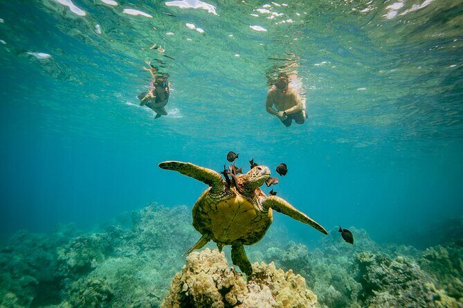 Maui: Molokini Crater and Turtle Town Snorkeling From Kihei - What to pack (and what to skip) for Maui comfort