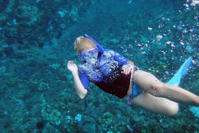 Maui: Molokini & Turtle Town Snorkel & Waterslide Adventure - Turtle Town: where the sea life is usually the headline