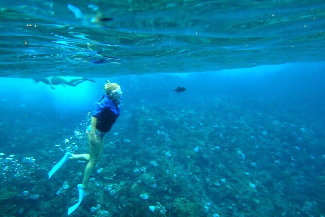 Maui: Molokini & Turtle Town Snorkel & Waterslide Adventure - Whales are a seasonal bonus, not a promise