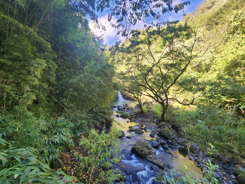 Maui: Private All-Inclusive Road to Hana Tour with Pickup - Sea turtles and the coast’s calmer rhythm