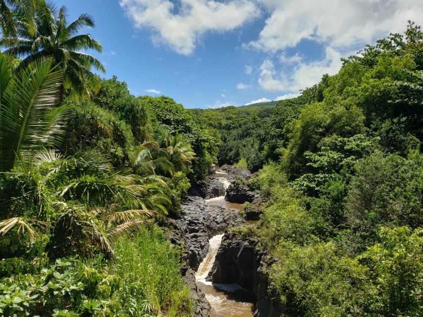 Maui: Road to Hana Adventure with Breakfast & Lunch - Ke‘anae Point, Rainbow Eucalyptus, and the Maui Touches Between