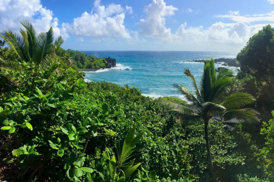 Maui: Road to Hana Sightseeing Tour - Waianapanapa State Park: walking the black sand beach