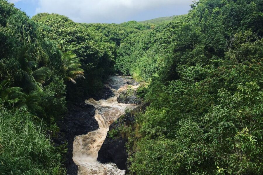Maui: Road to Hana Sightseeing Tour - Hana Farms lunch: a farm-to-table reset at the middle of the day