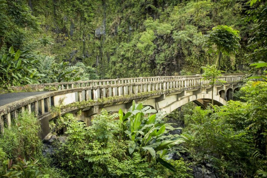 Maui: Small-Group Road to Hāna Sightseeing Tour - Pacing, Alelele Point, and why the day can run past 8 hours