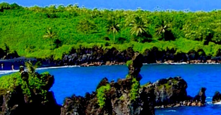 Maui: Small-Group Road to Hāna Sightseeing Tour - Let someone else handle the Road to Hāna driving stress