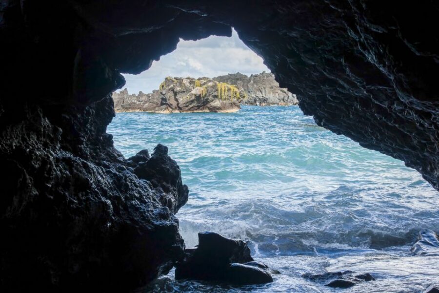 Maui: Small-Group Road to Hāna Sightseeing Tour - From Ho’okipa to the eucalyptus: how the route sets up the scenery
