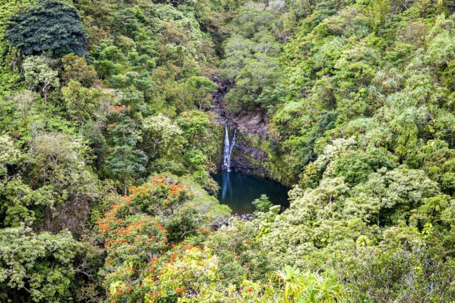 Maui: Small-Group Road to Hāna Sightseeing Tour - Keanae Peninsula and the bamboo view: where the trip turns more local