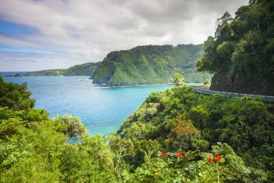 Maui: Small-Group Road to Hāna Sightseeing Tour - Waiʻānapanapa State Park: black sand, sea cave, and the swim factor