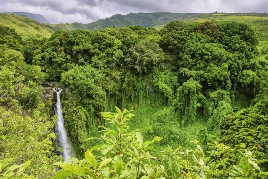 Maui: Small-Group Road to Hāna Sightseeing Tour - Hotel pickup and a morning start that keeps the day from slipping